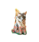 猫と鳥の smile life ！！（個別スタンプ：19）