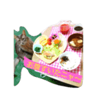 猫と鳥の smile life ！！（個別スタンプ：21）
