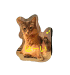 猫と鳥の smile life ！！（個別スタンプ：28）