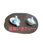 猫と鳥の smile life ！！（個別スタンプ：31）