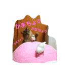 猫と鳥の smile life ！！（個別スタンプ：32）