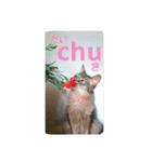 猫と鳥の smile life ！！（個別スタンプ：35）