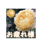 薔薇の花♡GC_挨拶メッセージ（個別スタンプ：4）