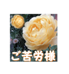 薔薇の花♡GC_挨拶メッセージ（個別スタンプ：5）