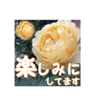 薔薇の花♡GC_挨拶メッセージ（個別スタンプ：9）