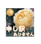 薔薇の花♡GC_挨拶メッセージ（個別スタンプ：13）