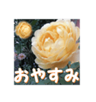 薔薇の花♡GC_挨拶メッセージ（個別スタンプ：14）