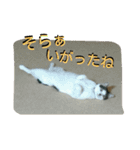 面白使えるはなちゃん40（個別スタンプ：4）