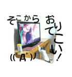 面白使えるはなちゃん40（個別スタンプ：27）