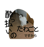 面白使えるはなちゃん40（個別スタンプ：35）