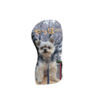 mix dog2（個別スタンプ：4）