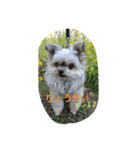 mix dog2（個別スタンプ：7）