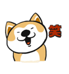 秋田犬「きよし」（個別スタンプ：3）
