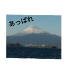 ピンクのやつ 日常編2とおまけ（個別スタンプ：15）