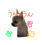 ちーちゃん2（個別スタンプ：6）