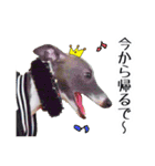 イタグレ界の塩顔王子AJ（個別スタンプ：7）