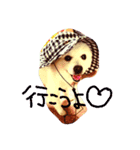 ほっこり 犬（個別スタンプ：3）