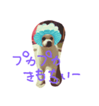 ほっこり 犬（個別スタンプ：4）