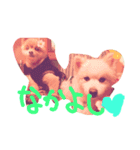 ほっこり 犬（個別スタンプ：8）