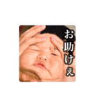 けんぞうスタンプ2（個別スタンプ：15）