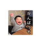 けんぞうスタンプ2（個別スタンプ：23）