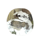 哲郎一家（個別スタンプ：3）