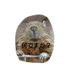 哲郎一家（個別スタンプ：5）