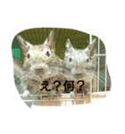 哲郎一家（個別スタンプ：8）