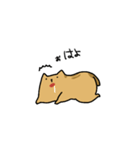 絵本のねこ（個別スタンプ：13）