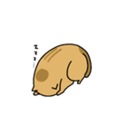 絵本のねこ（個別スタンプ：16）
