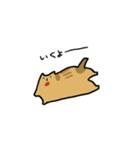 絵本のねこ（個別スタンプ：17）