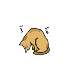 絵本のねこ（個別スタンプ：40）