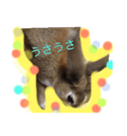 うさうさ☆いーくん（個別スタンプ：2）