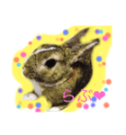 うさうさ☆いーくん（個別スタンプ：8）