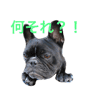 フレブルのターボ！（個別スタンプ：5）