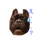 フレブルのターボ！（個別スタンプ：7）