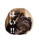 フレブルのターボ！（個別スタンプ：8）