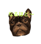 フレブルのターボ！（個別スタンプ：17）