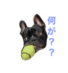 フレブルのターボ！（個別スタンプ：23）