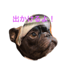 フレブルのターボ！（個別スタンプ：25）