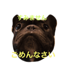 フレブルのターボ！（個別スタンプ：28）