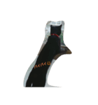 黒猫シンディ（個別スタンプ：6）