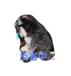 みにしゅな（個別スタンプ：3）
