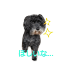 みにしゅな（個別スタンプ：4）