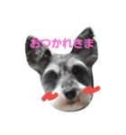 みにしゅな（個別スタンプ：8）