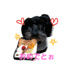 みにしゅな（個別スタンプ：12）