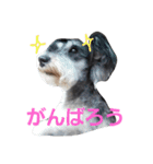みにしゅな（個別スタンプ：16）