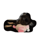 チワワ チワワ チワワン（個別スタンプ：14）