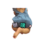 Xuan Ni Niang's apple girl（個別スタンプ：18）