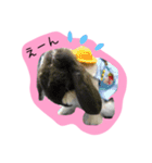 ちゃたぎんとゆかいな仲間たちスタンプ（個別スタンプ：22）